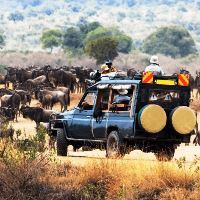 best time to tour in Kenya