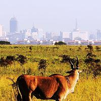 How many days is good for safari in Kenya?